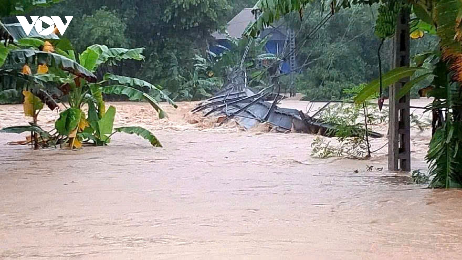 Government urges swift response as Wipha triggers severe flooding in Nghe An